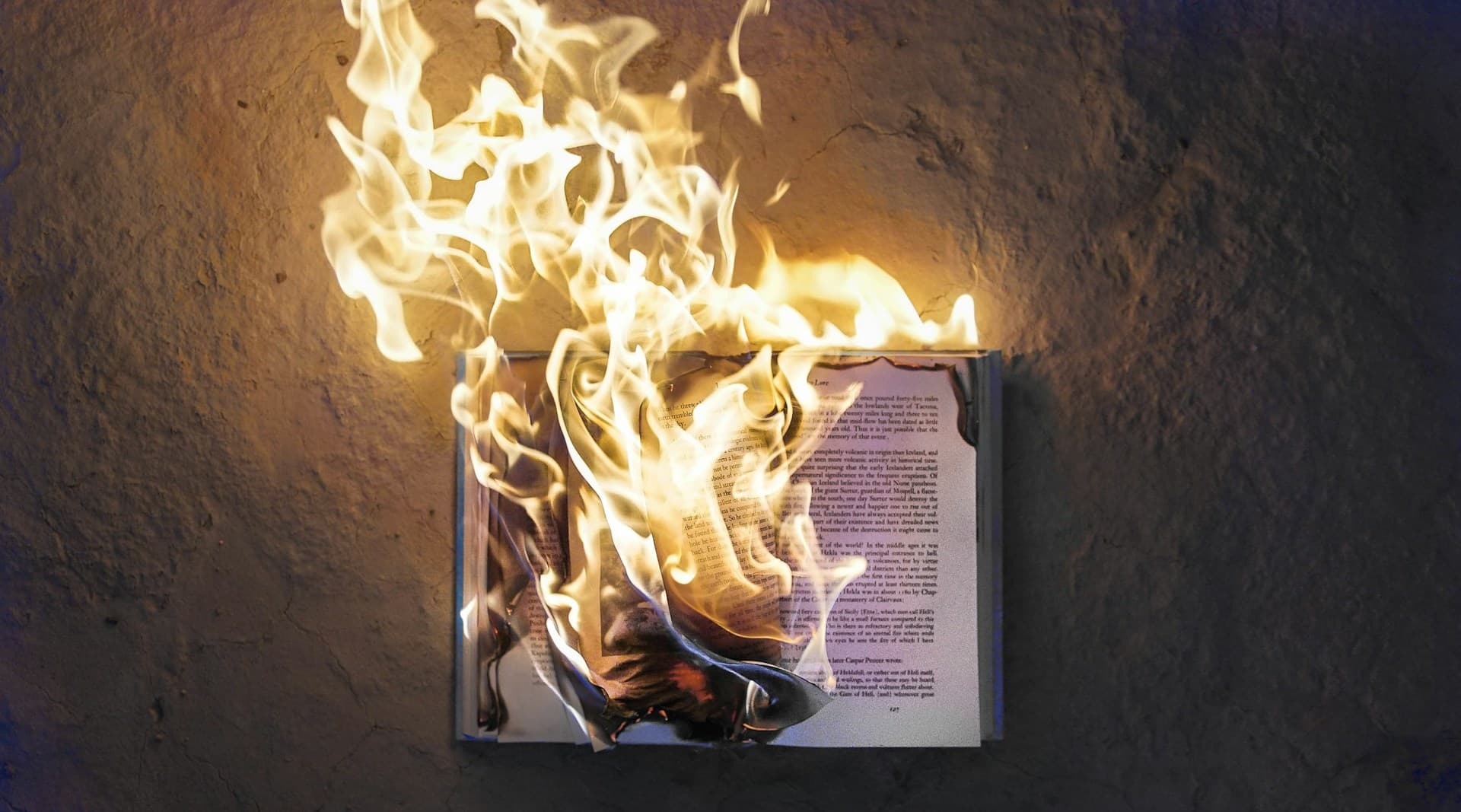Amazon compra libros raros, les corta el lomo y los escanea para entrenar su IA